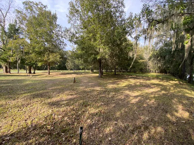 a view of outdoor space with trees all around