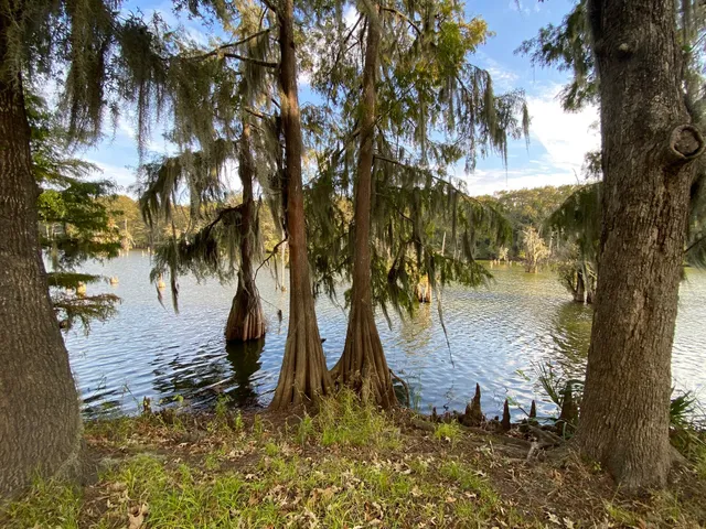 a view of outdoor space with trees