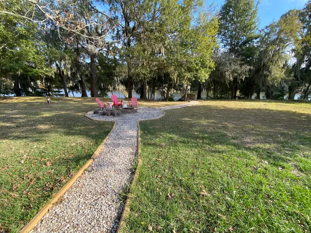 a view of a park with large trees