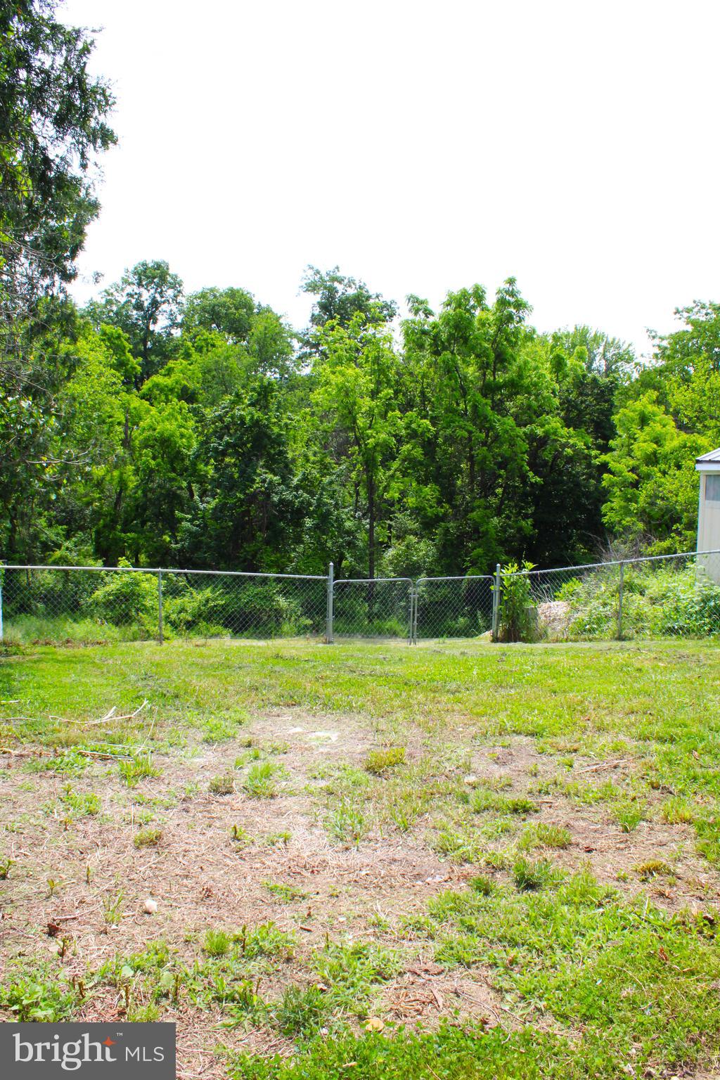 550 Winifred Road Cumberland, MD 21502 - Photo 23 of 81 Rear Yard View 6