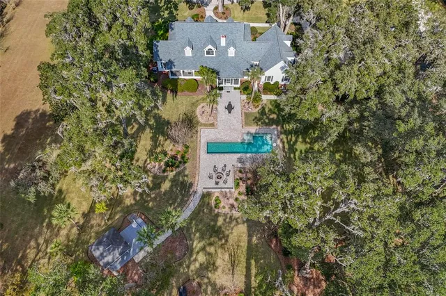 a view of a dining room with furniture and a potted plant