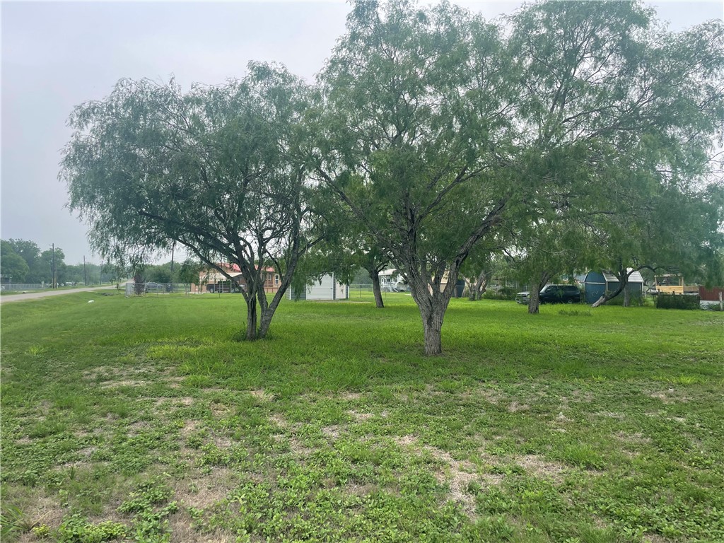 a view of grassy field with benches and trees all around