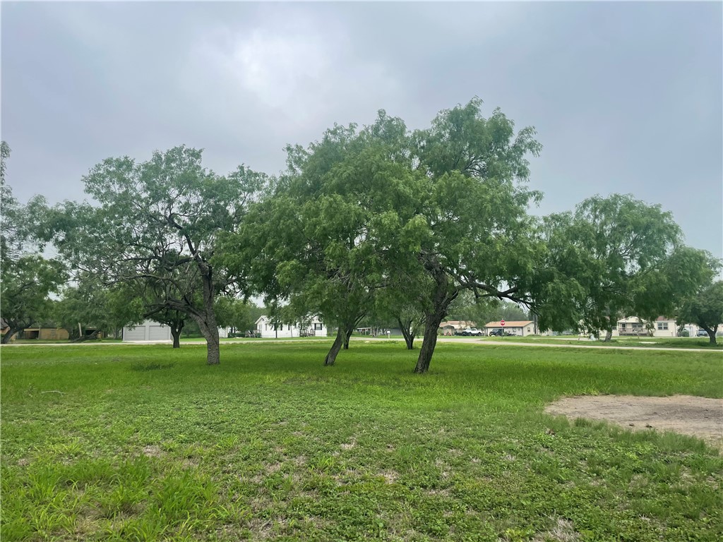 9673 County Road 350 Mathis, TX 78368 - Photo 4 of 6 a view of grassy field with benches and trees all around