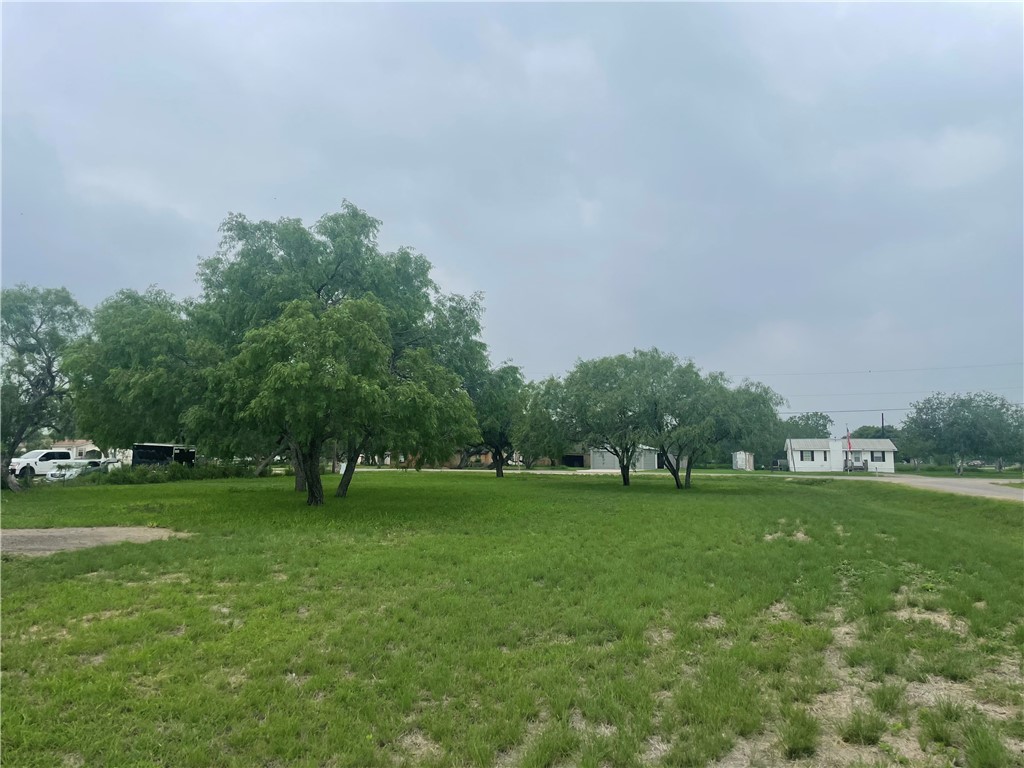 9673 County Road 350 Mathis, TX 78368 - Photo 5 of 6 a view of a grassy field with trees