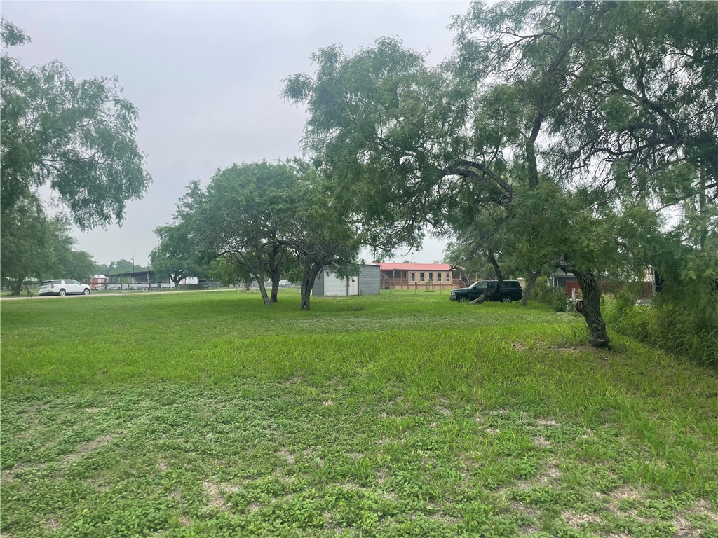 9673 County Road 350 Mathis, TX 78368 - Photo 6 of 6 a view of green field
