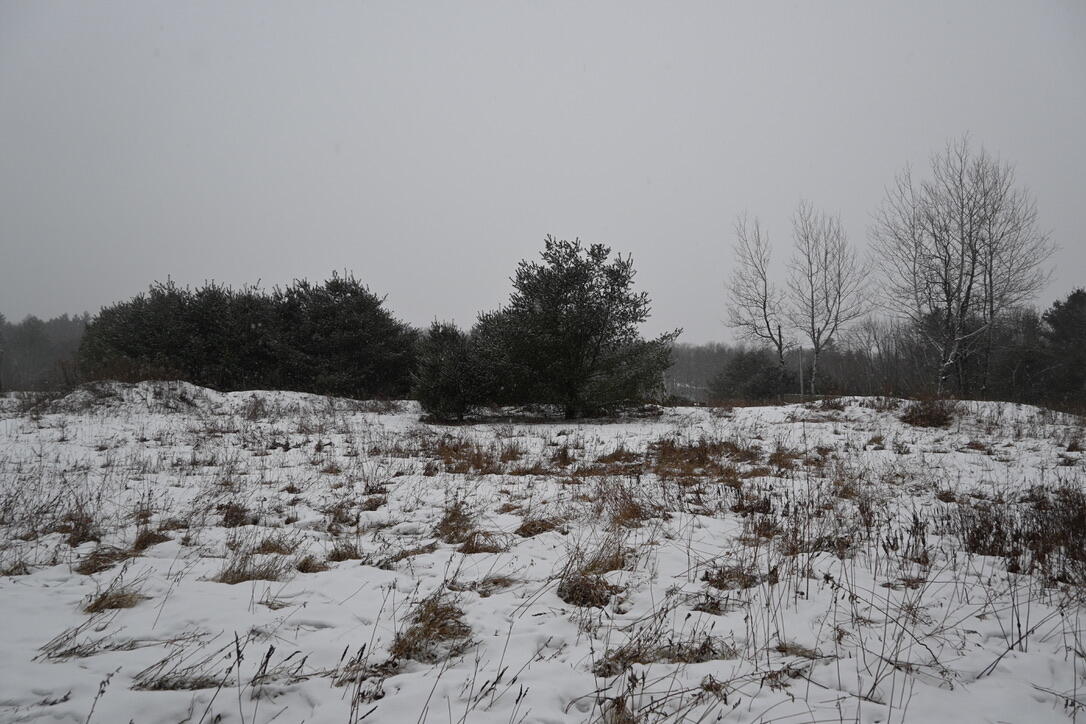 20 Copper Rdg Road Greene, ME 04236 - Photo 11 of 15 89CB8488-C106-410E-9D61-2E518ECE9A10_1_1