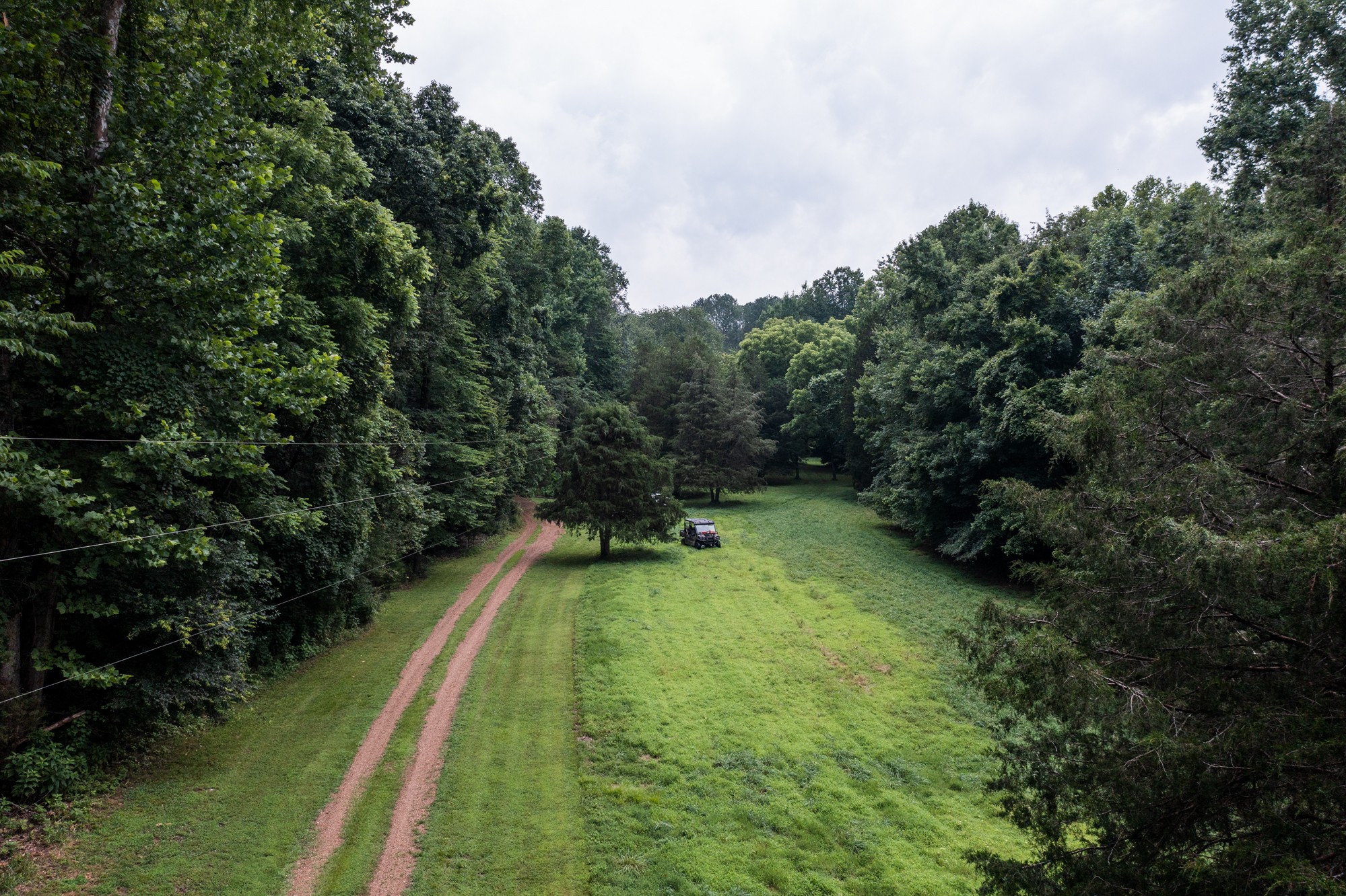 400 Peters Branch Road Centerville, TN 37033 - Photo 3 of 46 Gallery Image 3