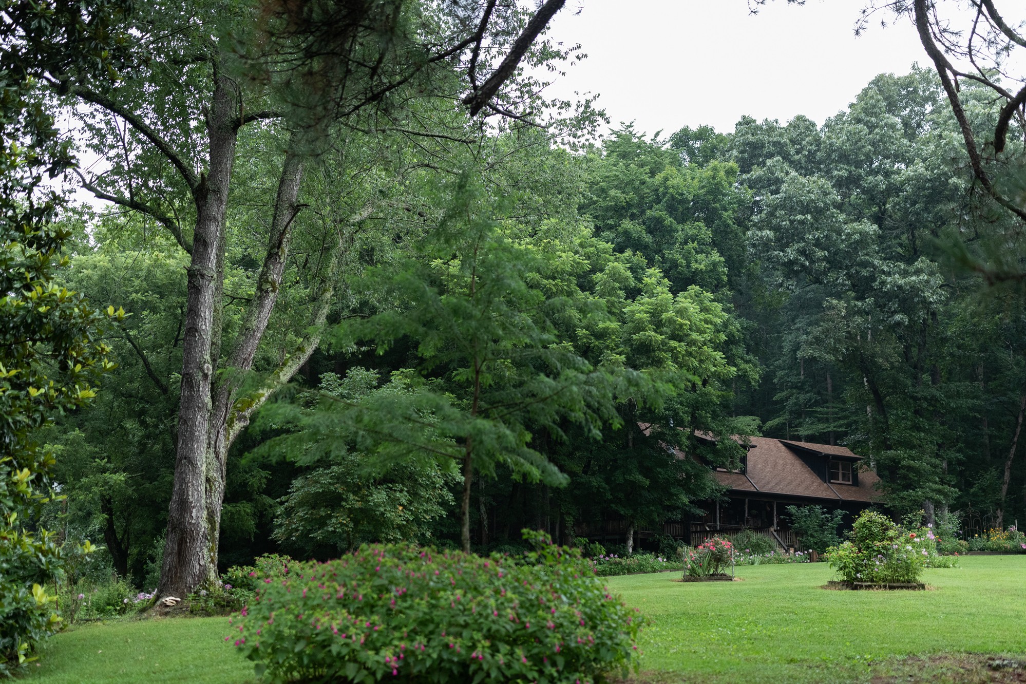 400 Peters Branch Road Centerville, TN 37033 - Photo 4 of 46 Gallery Image 4