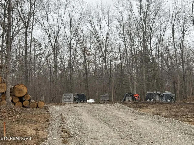 a view of a backyard with a trees