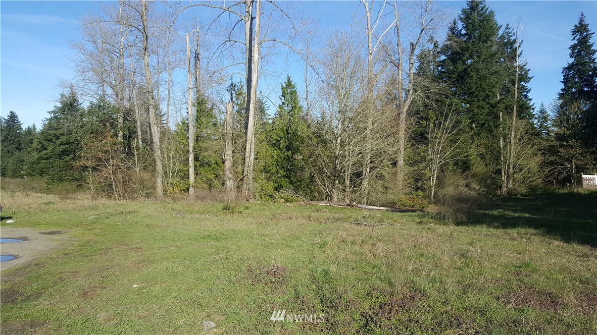 9999 Hwy 101 Road Port Angeles, WA 98362 - Photo 1 of 12
