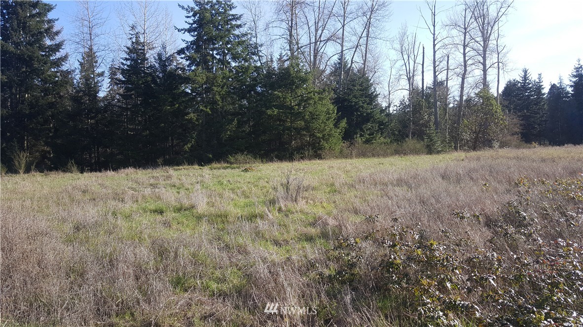 9999 Hwy 101 Road Port Angeles, WA 98362 - Photo 4 of 12
