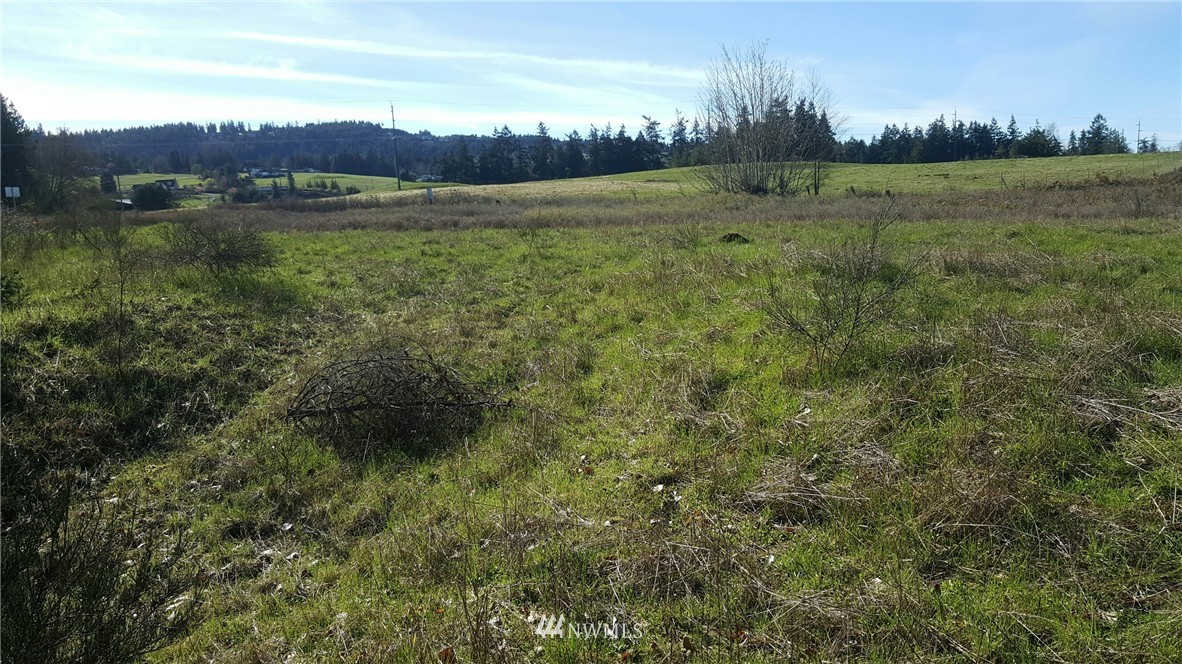 9999 Hwy 101 Road Port Angeles, WA 98362 - Photo 6 of 12