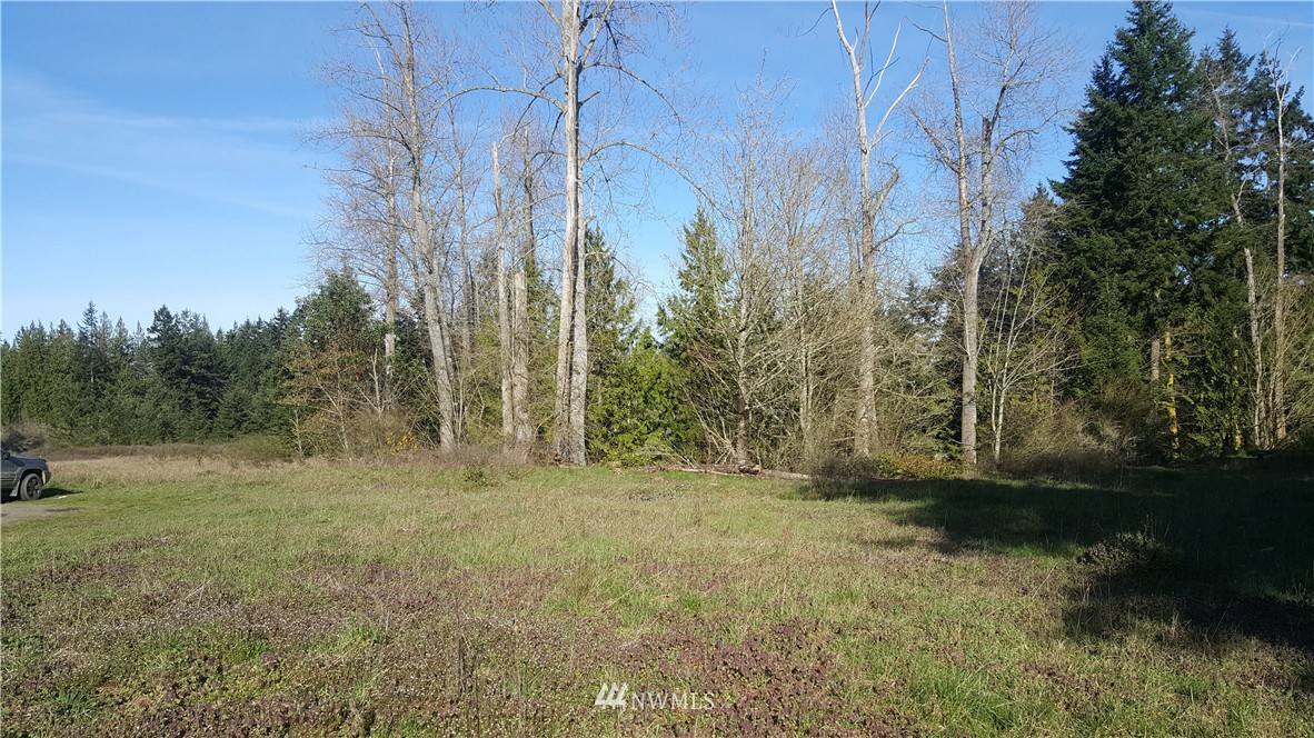 9999 Hwy 101 Road Port Angeles, WA 98362 - Photo 8 of 12