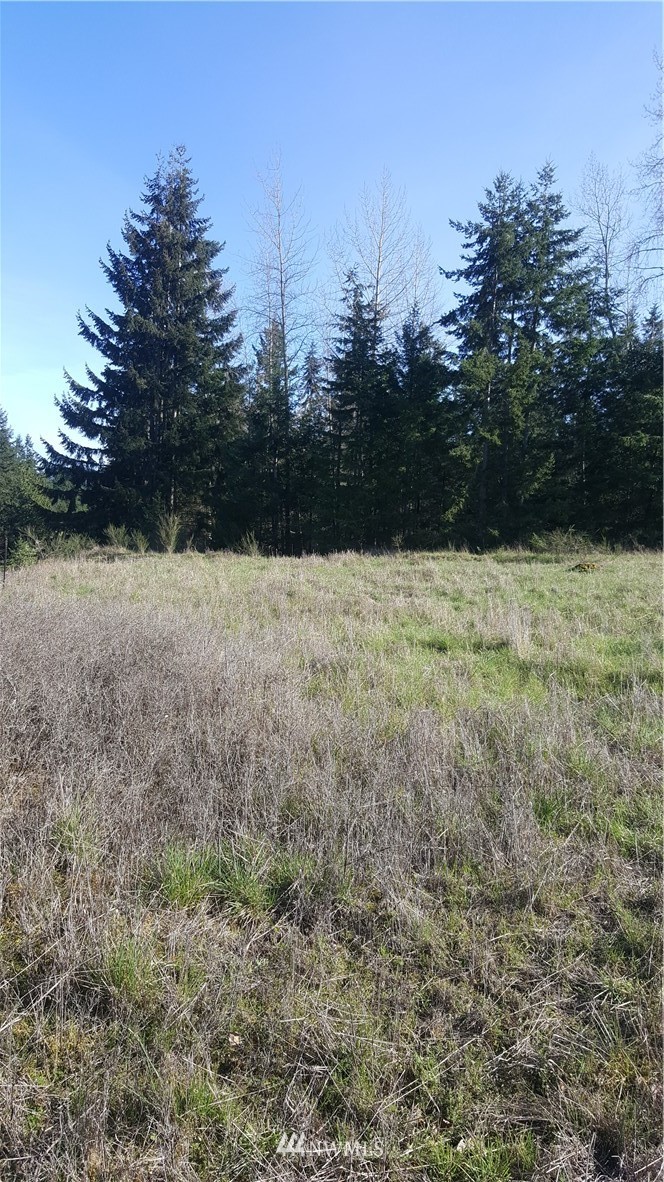 9999 Hwy 101 Road Port Angeles, WA 98362 - Photo 10 of 12