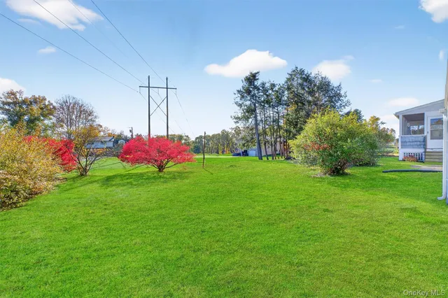 a view of a garden with plants