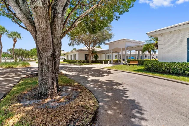 a view of a street with a tree in front of it