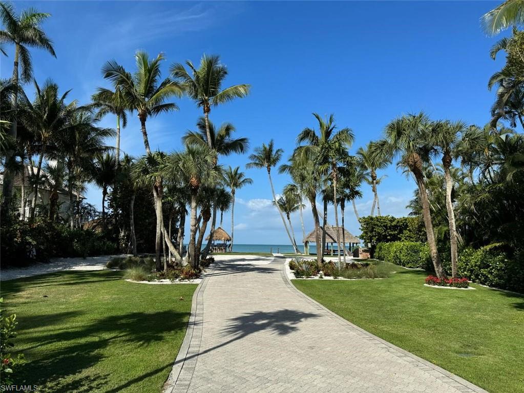 4115 Cutlass Lane Naples, FL 34102 - Photo 43 of 44 a view of a palm trees