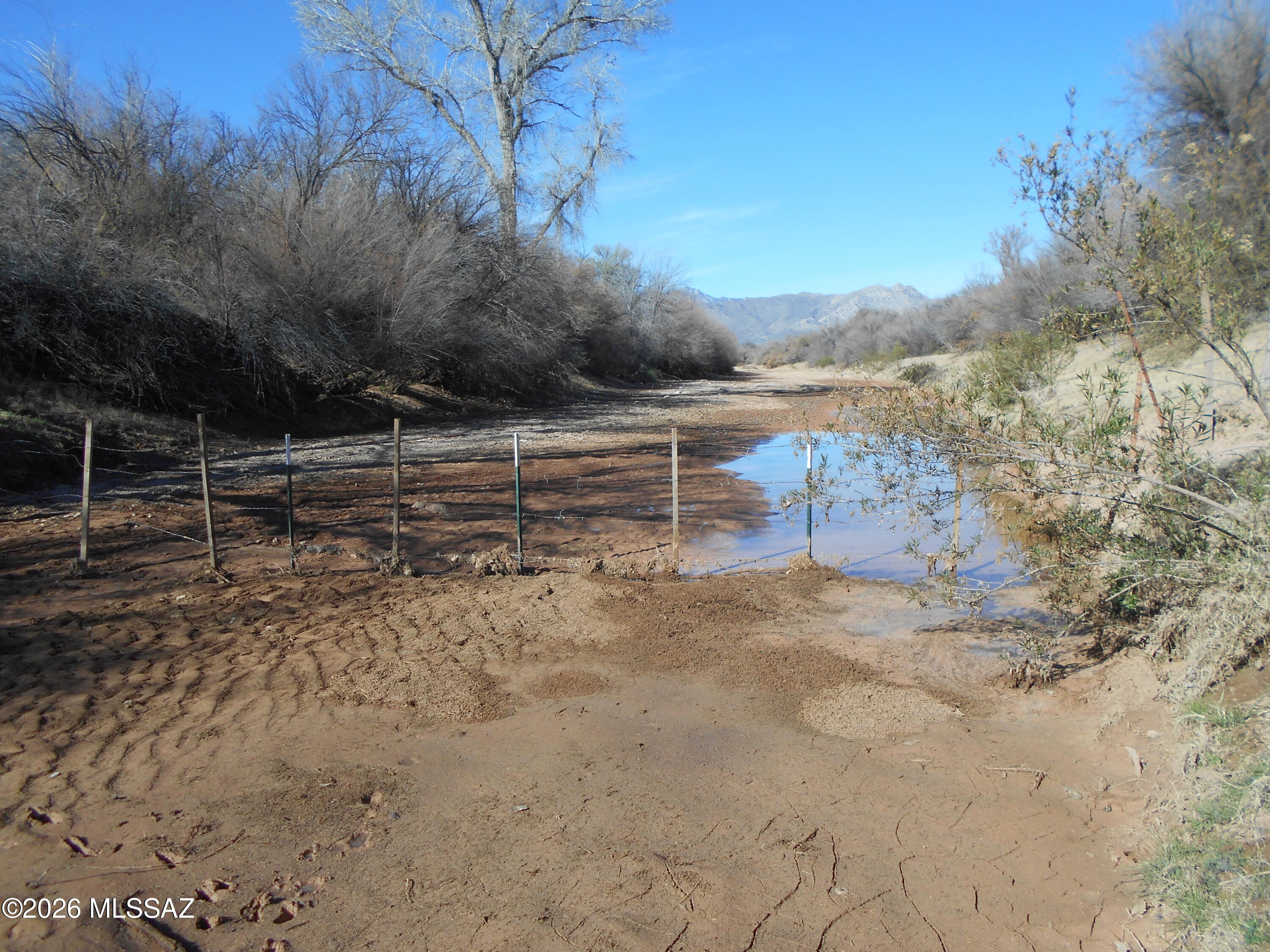2223 North Ocotillo Road Benson, AZ 85602 - Photo 36 of 50 San Pedro River