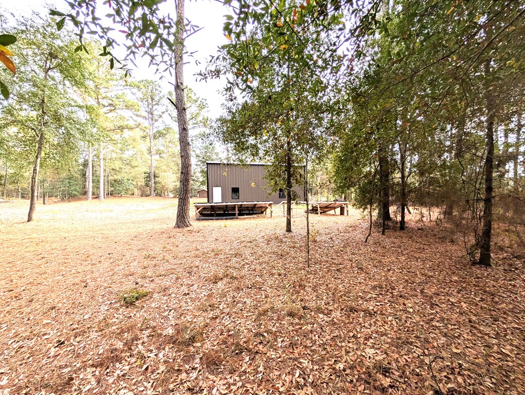 100 Womack Road Ashford, AL 36312 - Photo 3 of 12