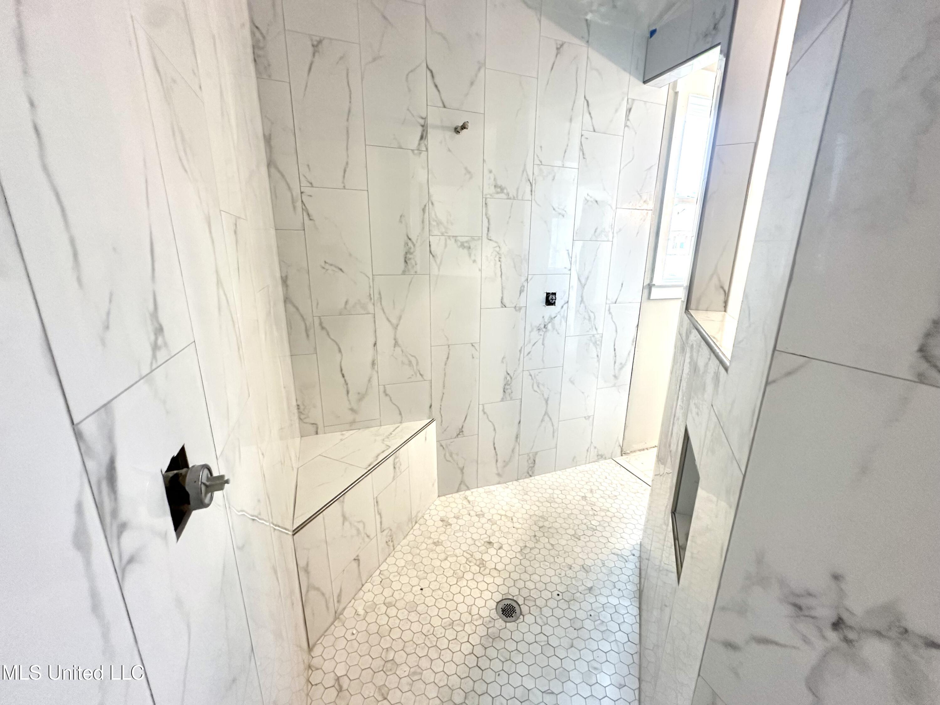 3925 Swan Cove Hernando, MS 38632 - Photo 11 of 22 IMG_2821