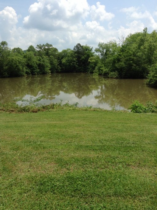 914 Webster Road Harriman, TN 37748 - Photo 32 of 40 Additional Photo