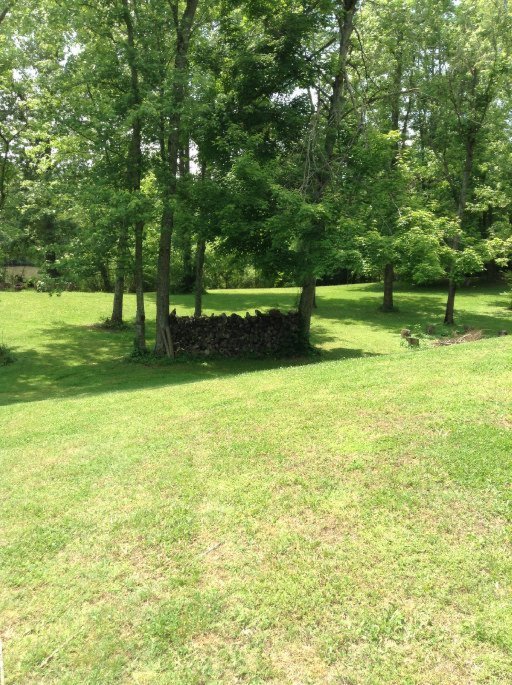 914 Webster Road Harriman, TN 37748 - Photo 35 of 40 Additional Photo