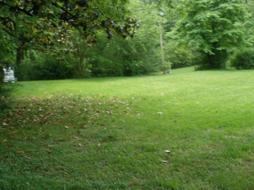 914 Webster Road Harriman, TN 37748 - Photo 38 of 40 Additional Photo