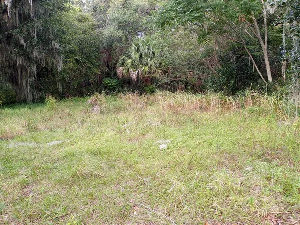 a backyard of a house with lots of green space and chair