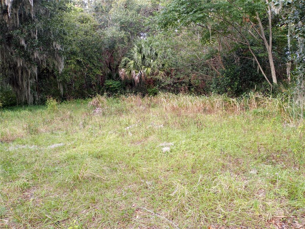 Carver Street Mims, FL 32754 - Photo 2 of 3 a backyard of a house with lots of green space and chair