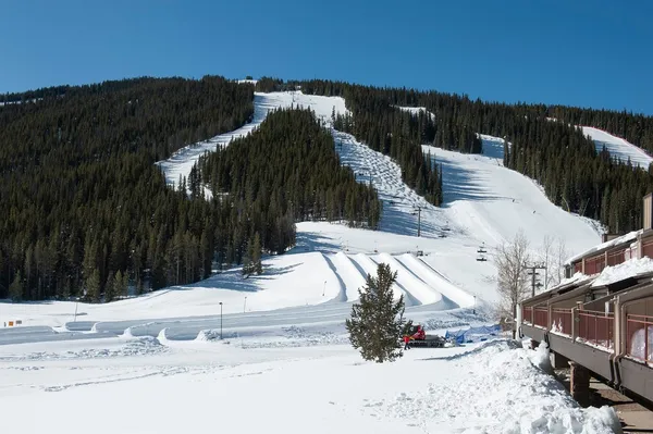 a view of a backyard of the house