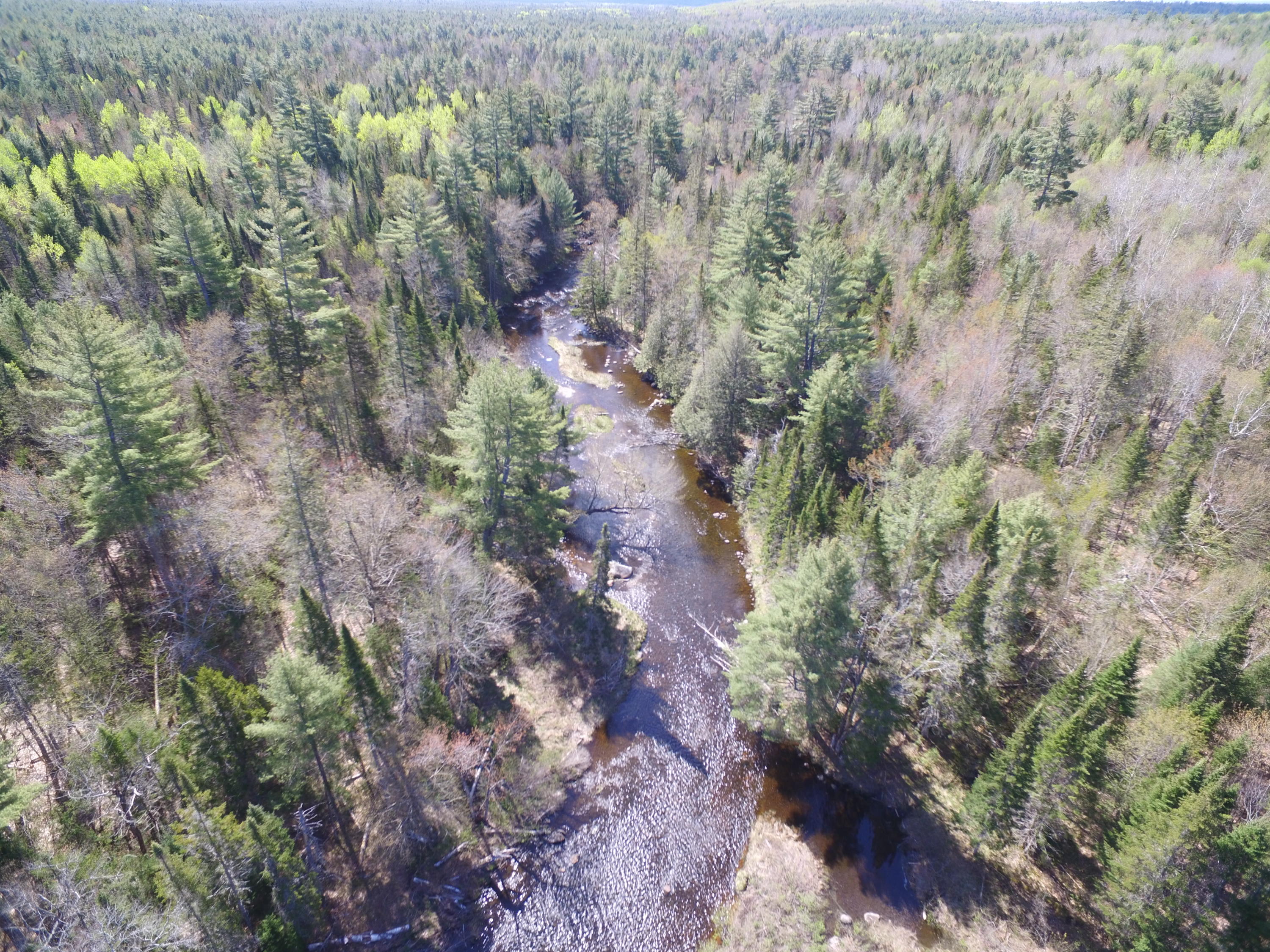 205 North Road Howland, ME 04448 - Photo 29 of 37 DJI_0415