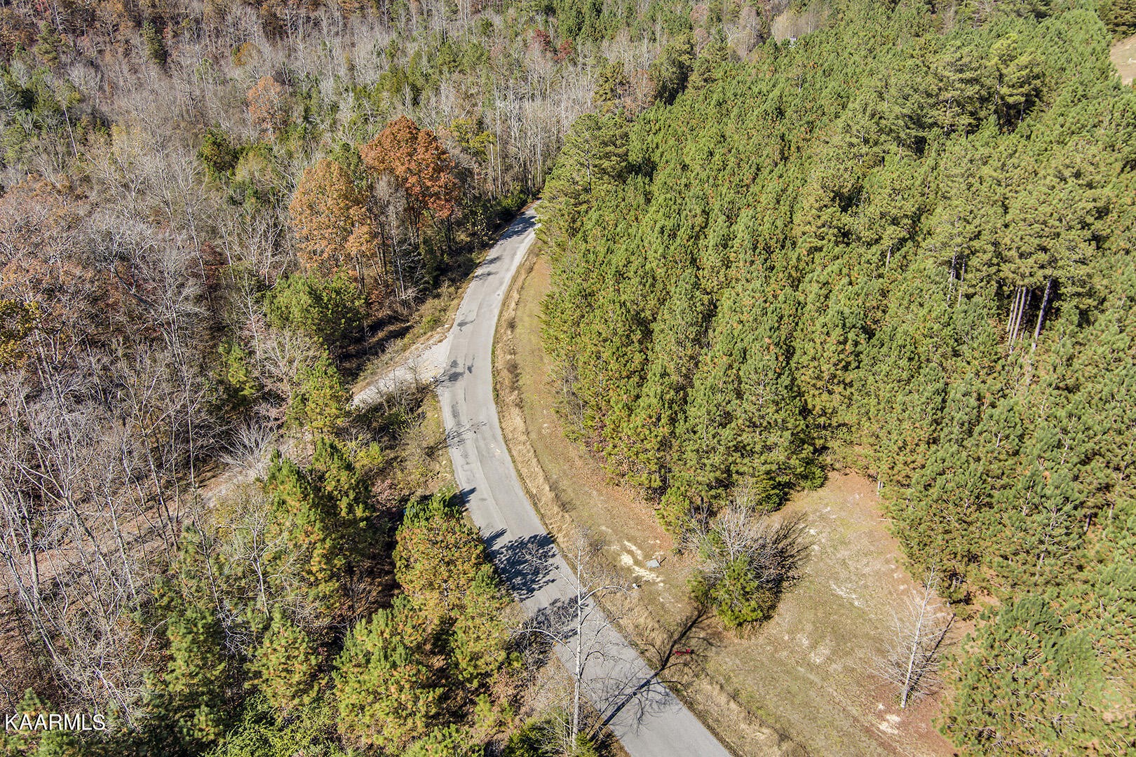 14531457 Sloans Gap Road Ocoee, TN 37361 - Photo 6 of 50