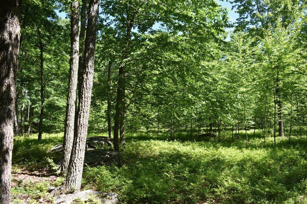 117 Ridge Road Hawley, PA 18428 - Photo 27 of 63 DSC_0089