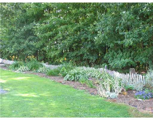 41 Fredonia Road Mercer, PA 16137 - Photo 5 of 14 Exterior Front. Side yard