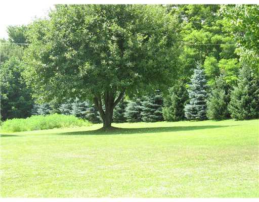41 Fredonia Road Mercer, PA 16137 - Photo 6 of 14 Exterior Front. Beautiful back yard