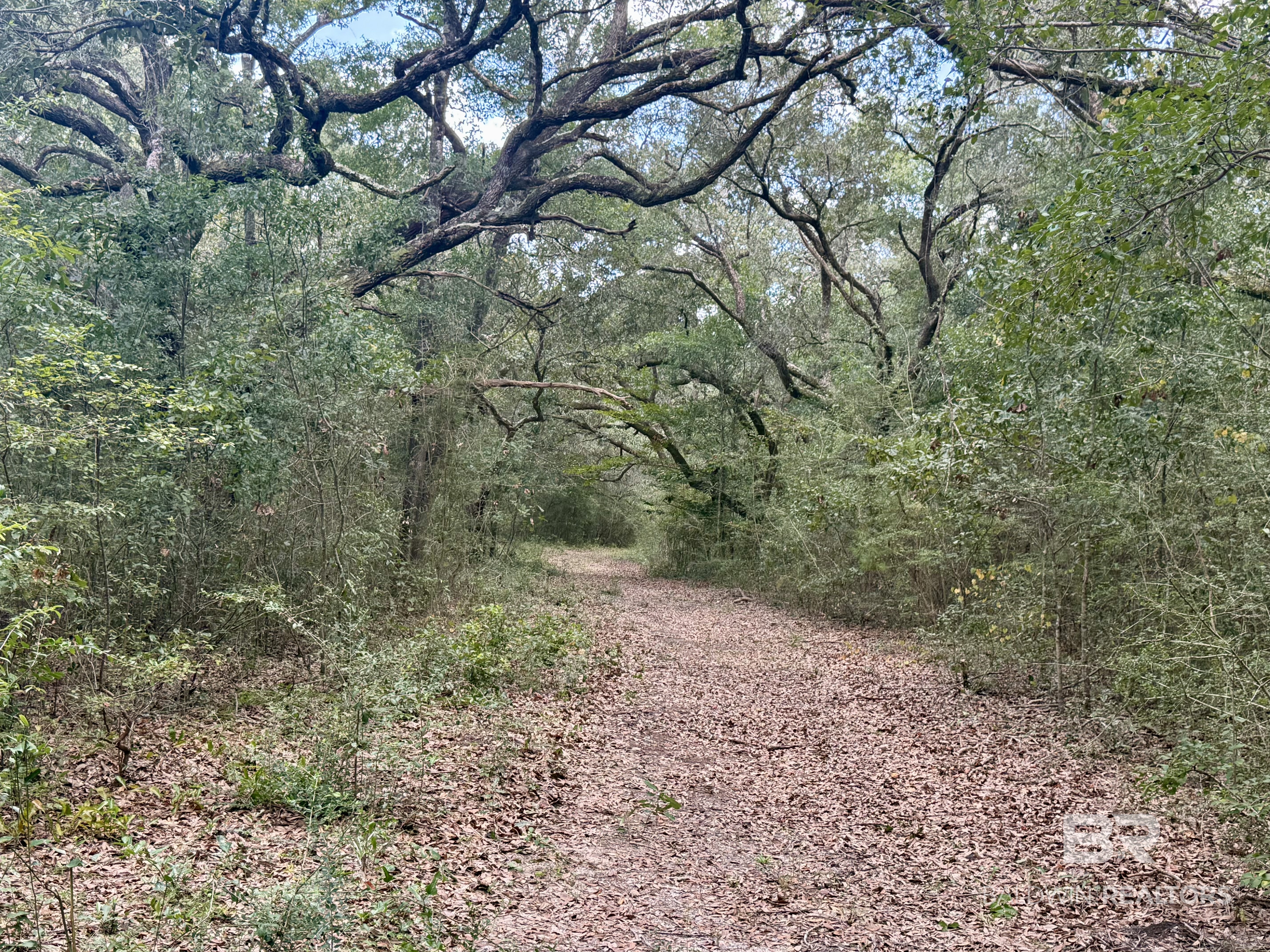 12110 Kenner Road Foley, AL 36535 - Photo 10 of 14 Gallery Image 10