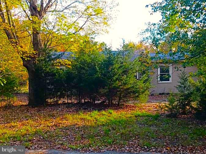 a view of outdoor space and yard