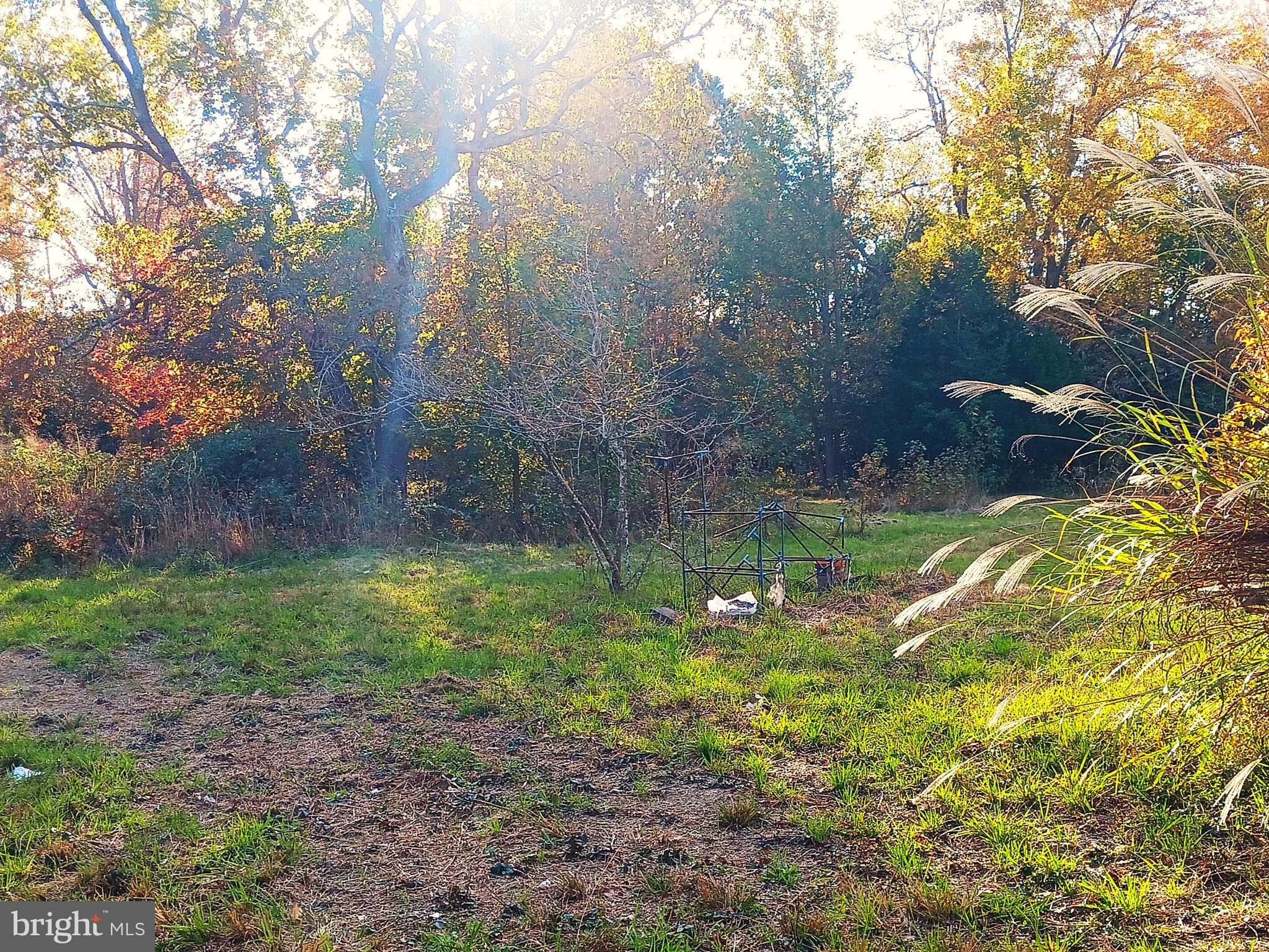 554 Old Beaver Dam Road Port Norris, NJ 08349 - Photo 4 of 10 a backyard of a house with lots of green space
