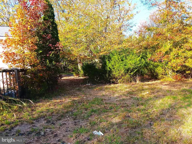 a view of outdoor space and yard