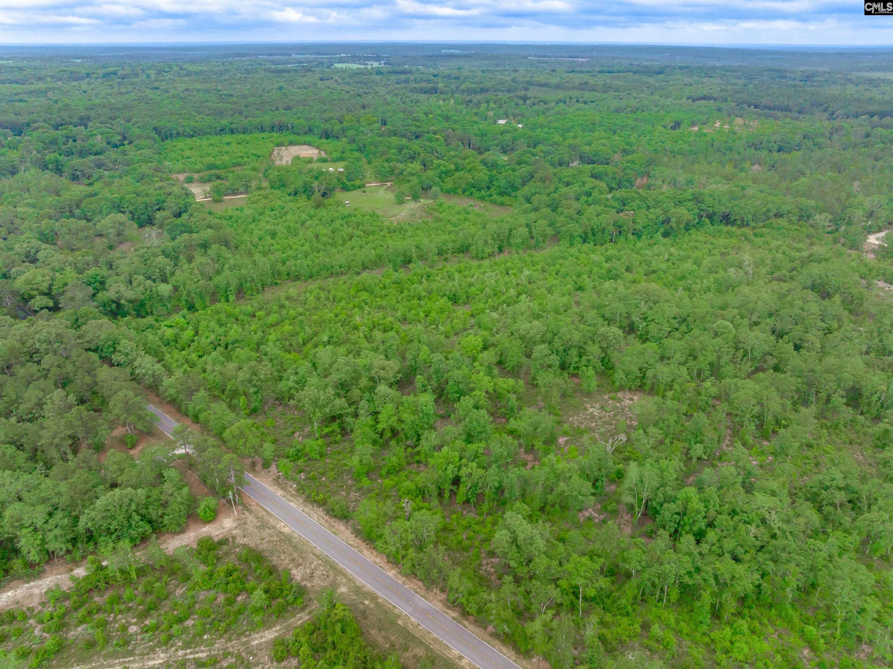 0 Seivern Road Wagener, SC 29164 - Photo 2 of 23