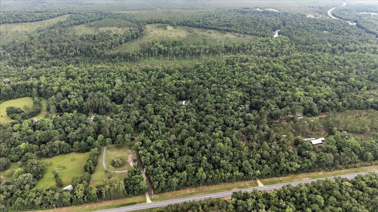 39 Wiregrass Lane Quincy, FL 32351 - Photo 19 of 59