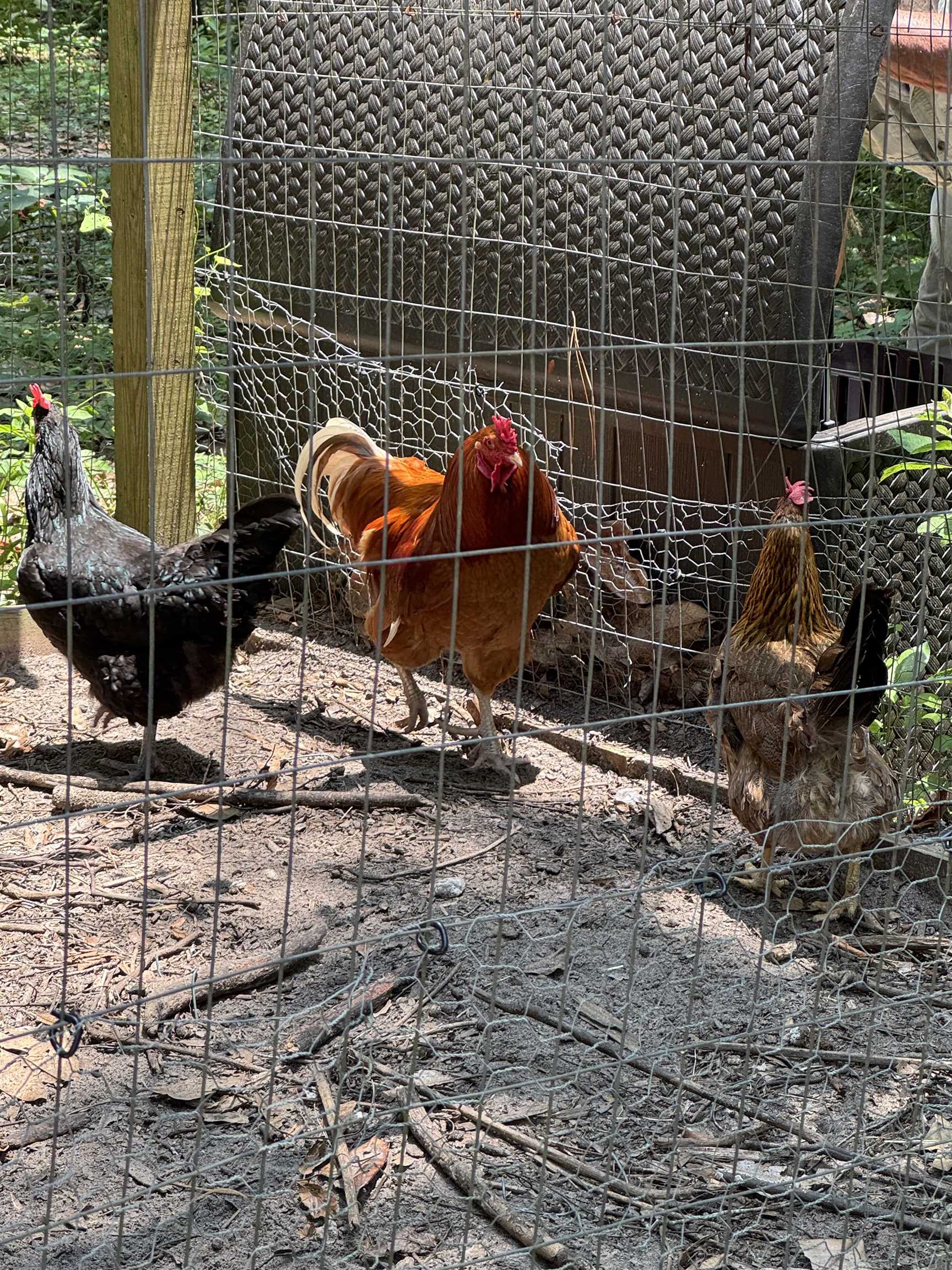 39 Wiregrass Lane Quincy, FL 32351 - Photo 6 of 59