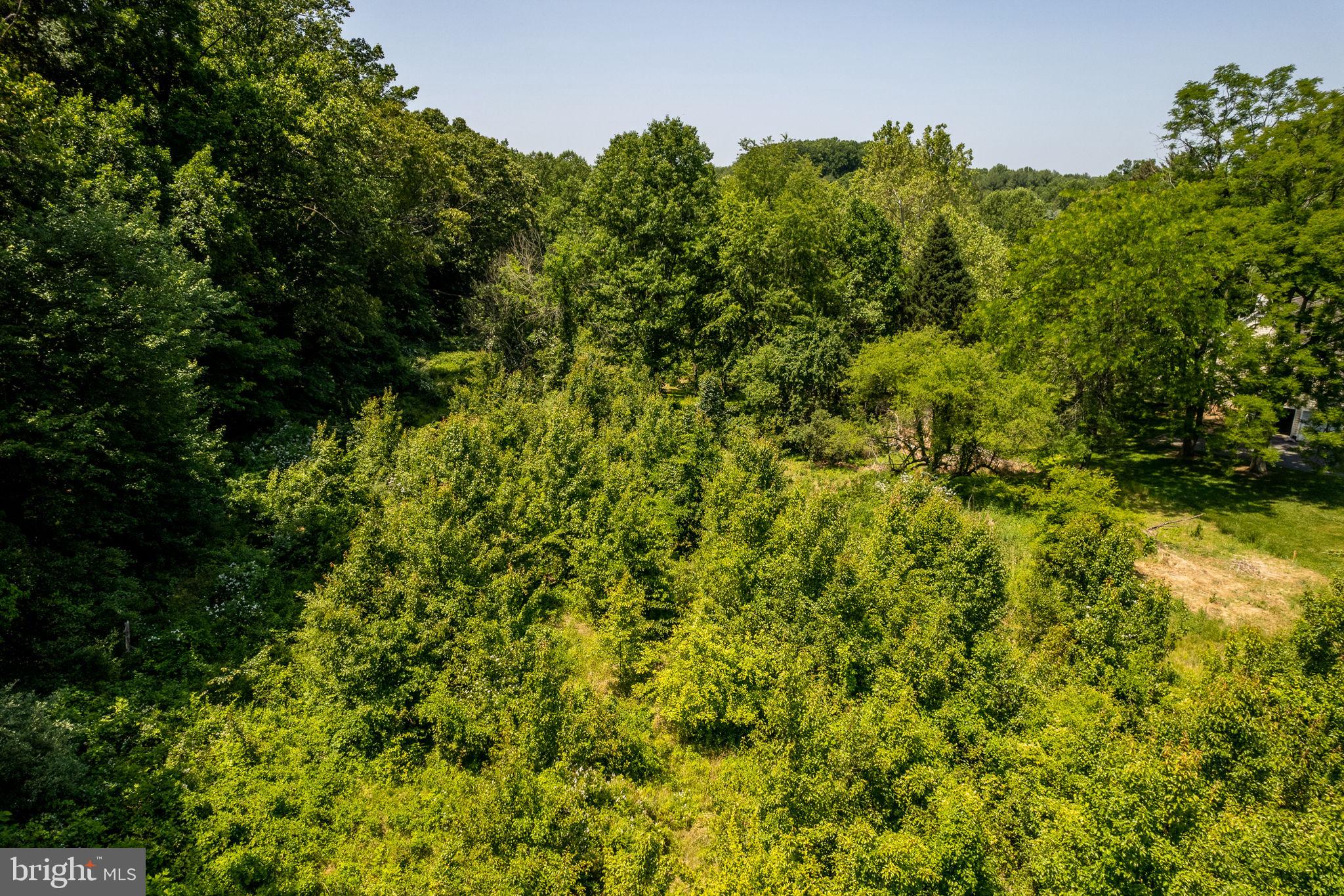 765 Folly Hill Road Kennett Square, PA 19348 - Photo 3 of 3 a view of a large yard with plants and large trees