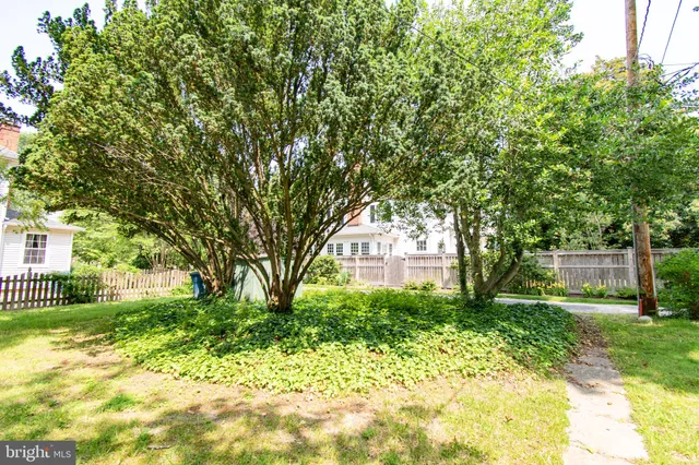 a large tree in the garden in front of a house