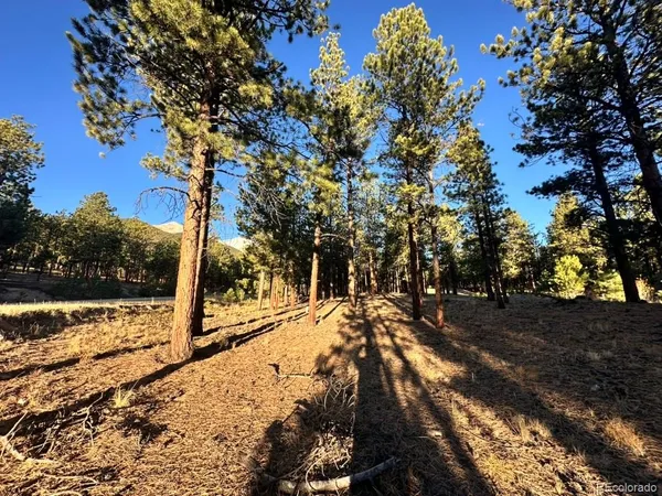 a view of a yard with wooden fence