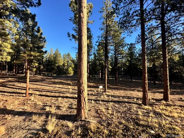 a view of a yard with wooden fence