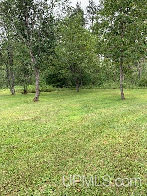 W7299 Kinziger Road Niagara, WI 54151 - Photo 21 of 21