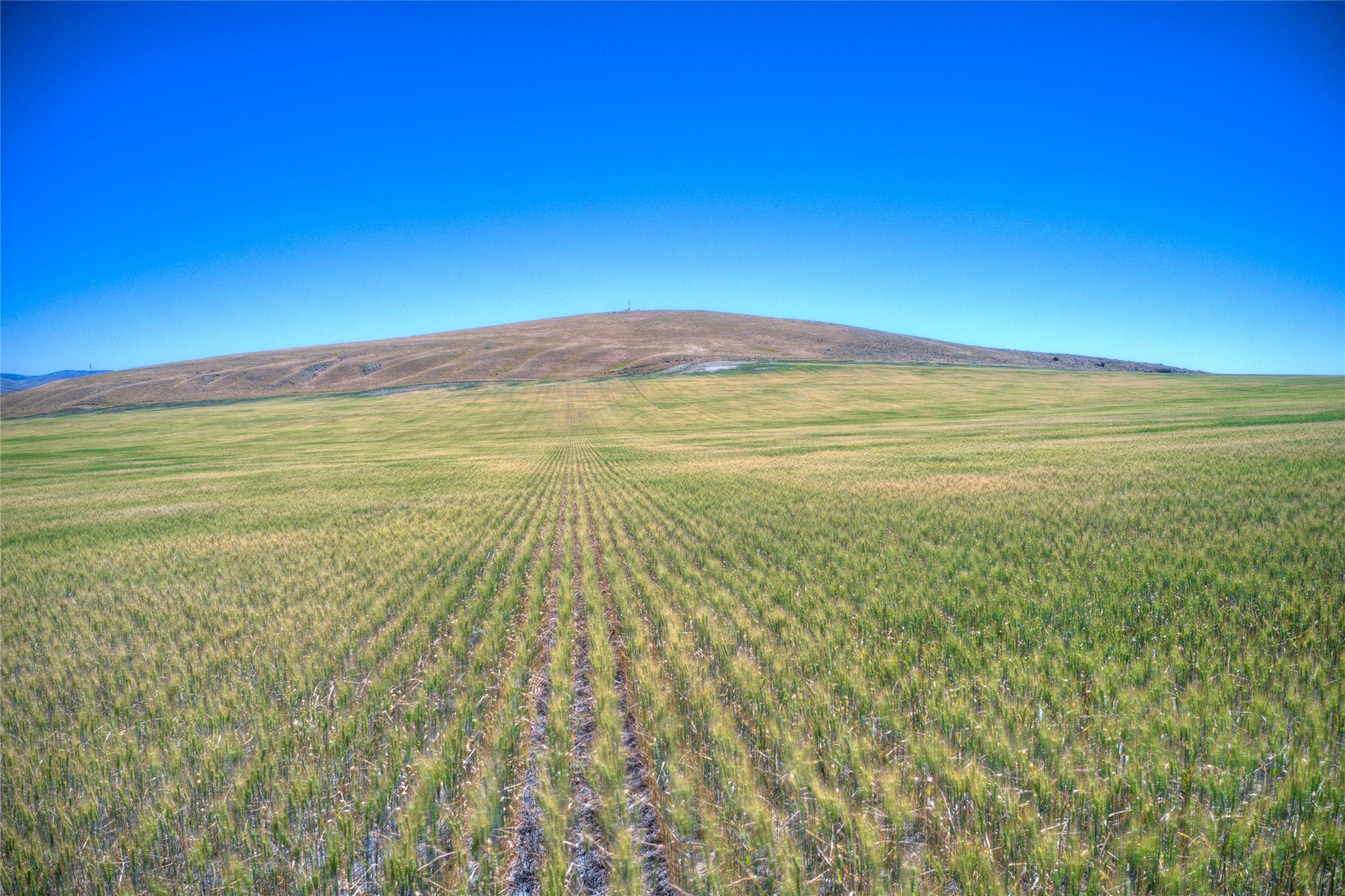 154 Wheatland Road Three Forks, MT 59752 - Photo 11 of 15 Gallery Image 11