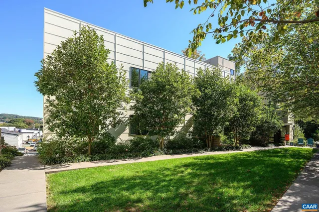 a view of a yard with a tree