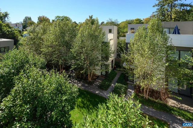 a view of a garden with plants and large trees